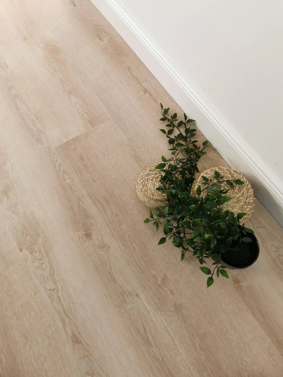 Klebevinyl XL Dryback Jupia