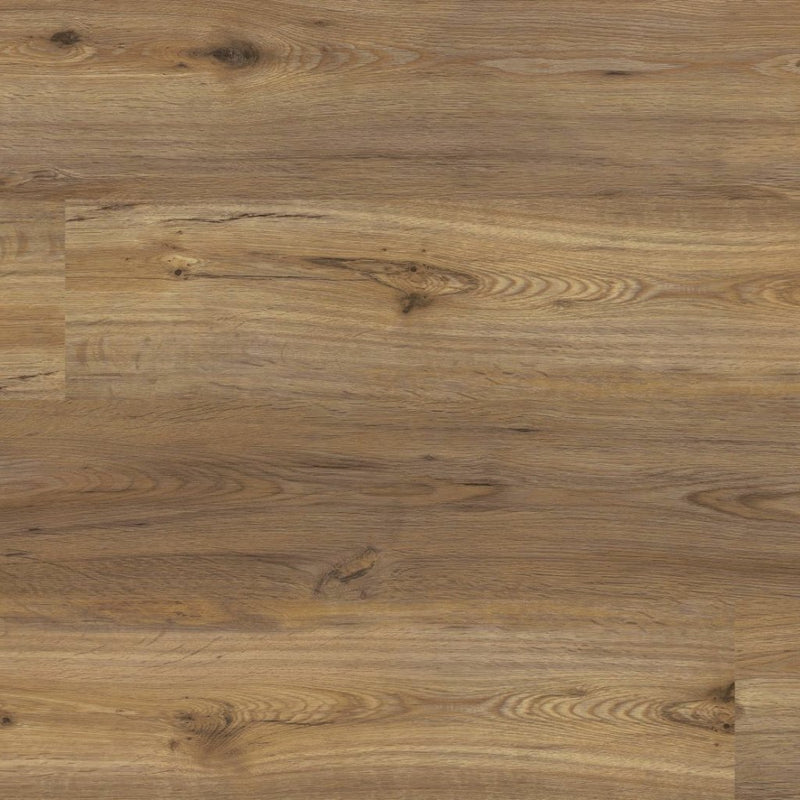 Klebe Vinylboden Collection Eiche Klassik Landhausdiele - Floor4all