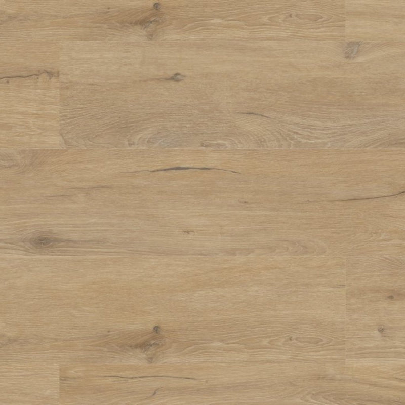 Prime Oak 50-05 Neckar Vinylboden Nahaufnahme - authentische Holzmaserung mit natürlichen Astlöchern von Floor4all