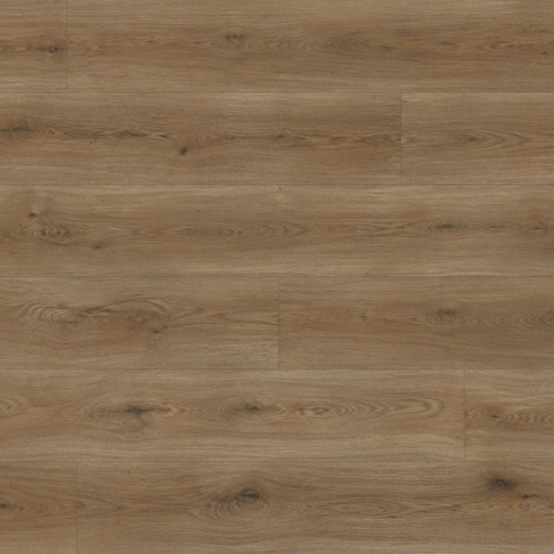 Klebevinyl Eiche Klassik Nahaufnahme mit natürlicher Holzmaserung – von Floor4all
