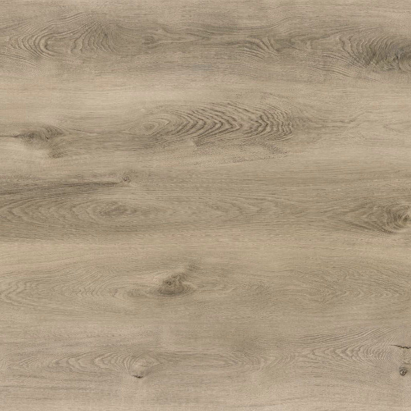 Klick Vinyl Eiche hell Solid Pure, Nahaufnahme der natürlichen Holzmaserung mit Ästen von Floor4all