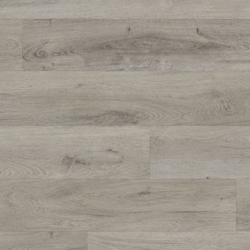 Dekor Klick Vinyl Eiche Sylo in Draufsicht: graue Holzoptik mit Ästen und feiner Maserung von Floor4all