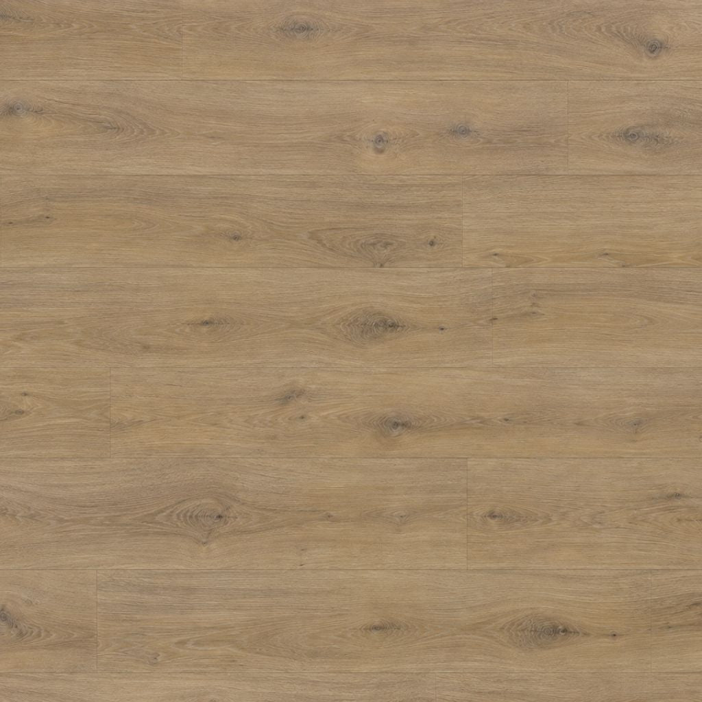 Laminat Kronotex Exquisit Prestige Eiche hell: Oberflächenstruktur und Verlegebild in der Nahaufnahme von Floor4all