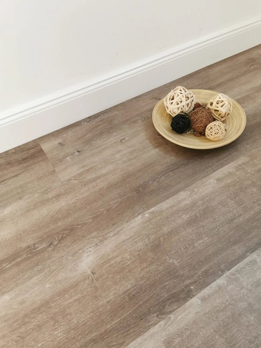 Klebevinyl XL Dryback Neptunia