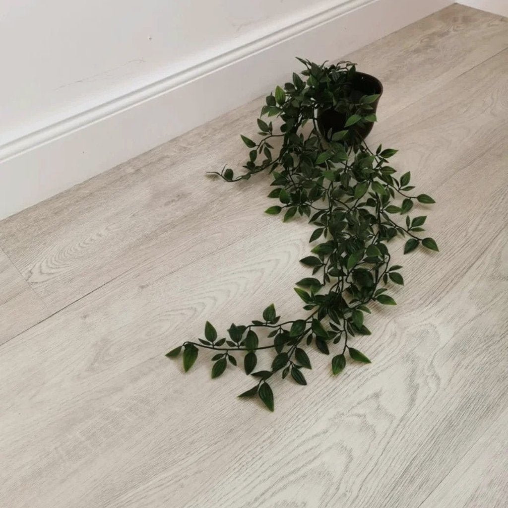 Klebe Vinylboden Burwell Landhausdiele hell – Nahaufnahme Oberflächenstruktur mit Topfpflanze auf dem Boden - Floor4all