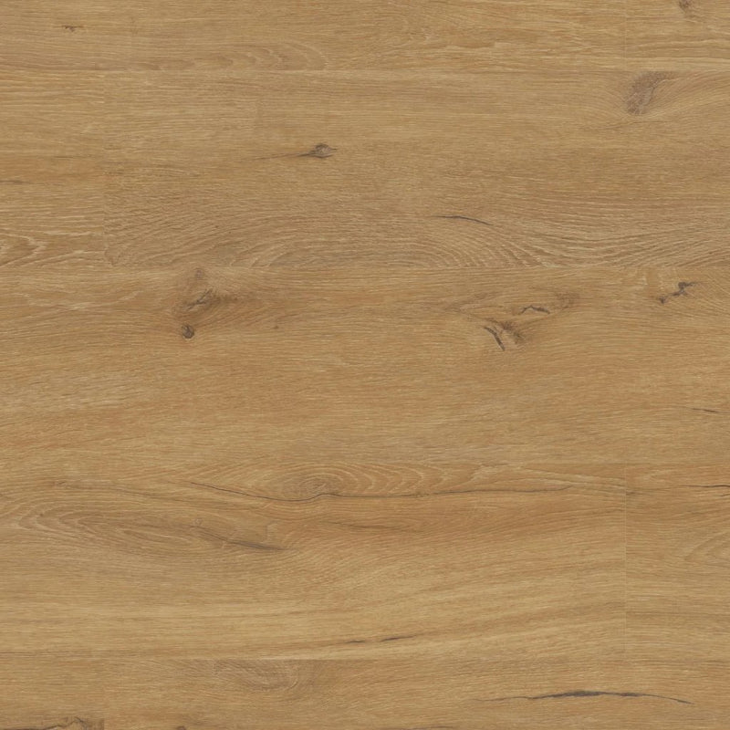 Klebevinyl Prime Oak 25 - 05 Inn Repac Landhausdiele 2,5 mm - Floor4all