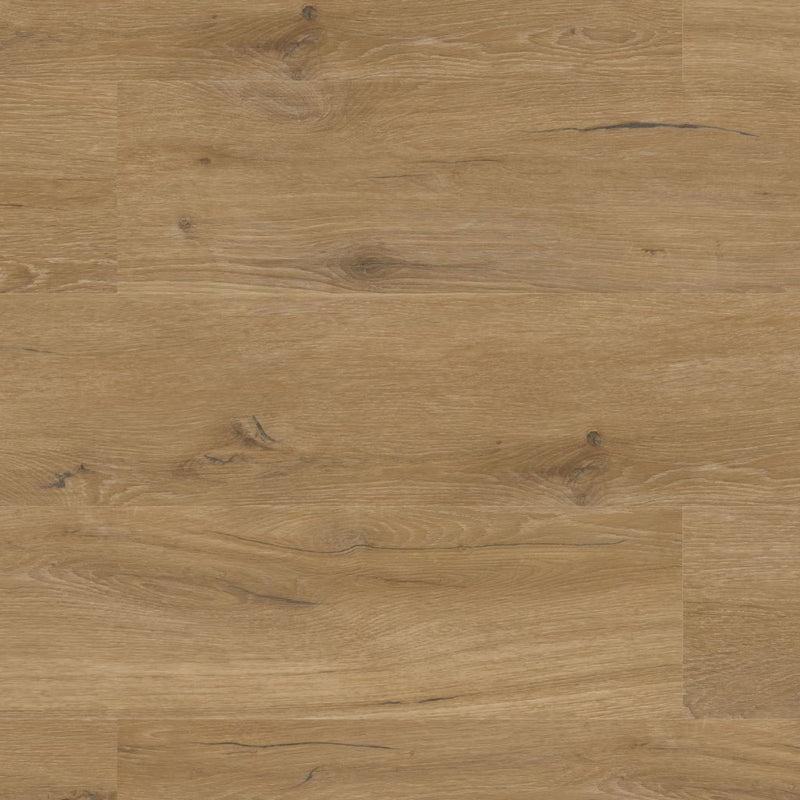 Klebevinyl Prime Oak 25-05 Lech - authentische Holzstruktur Nahaufnahme - Floor4all