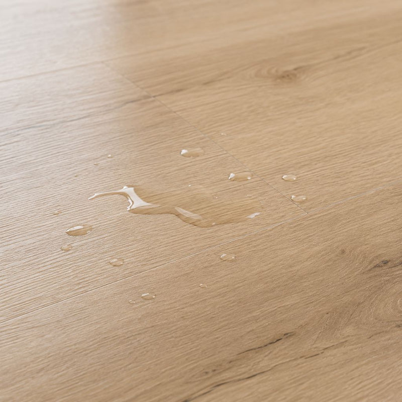 Wassertropfen perlen auf dem hellen Vinylboden ab – demonstriert die 100-prozentige Wasserfestigkeit des Materials. Klick-Vinyl Rigid SPC Sunrise Edge GT von Floor4all
