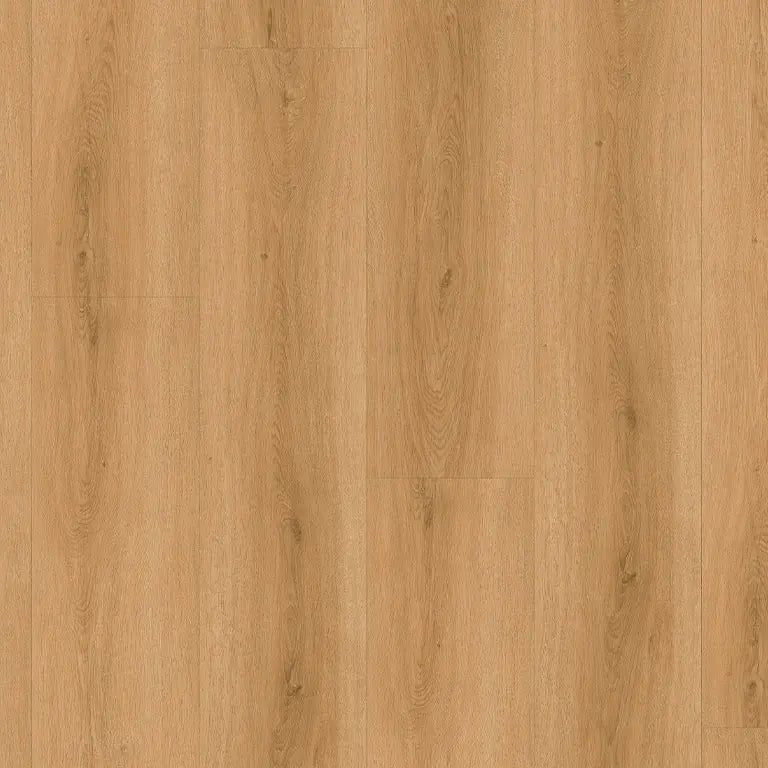 Klebevinyl Eiche Burgud Glue 2.0 - Floor4all