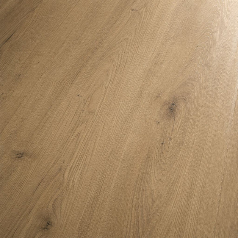 Authentische Eichen-Maserung mit Jahresringen – strukturierte Holz-Optik, warmtonig & natürlich wirkend
