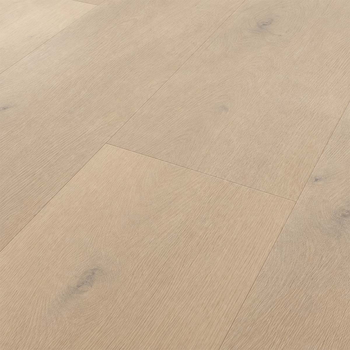 Klick Vinylboden Coretti ecru mit Kork Trittschalldämmung in Nahaufnahme mit feiner Holzmaserung und dezenten Fasen – Restposten bei Floor4All.