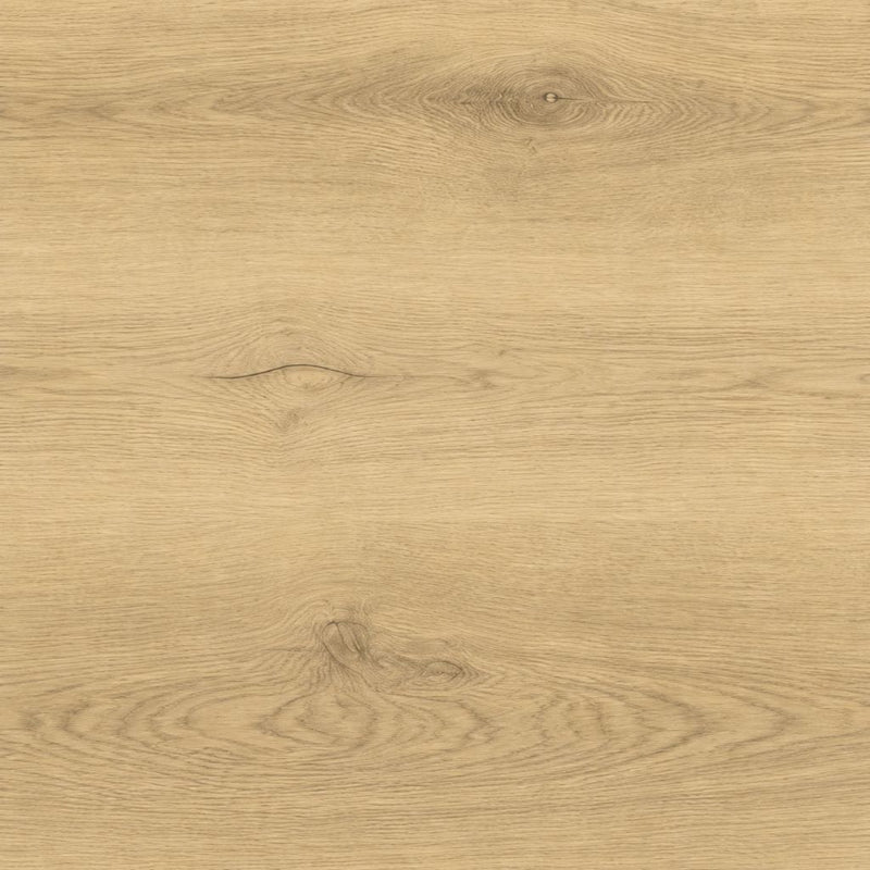 Nahaufnahme der Oberflächenstruktur mit realistischer Holzmaserung und feinen Asteinschlüssen von Floor4all