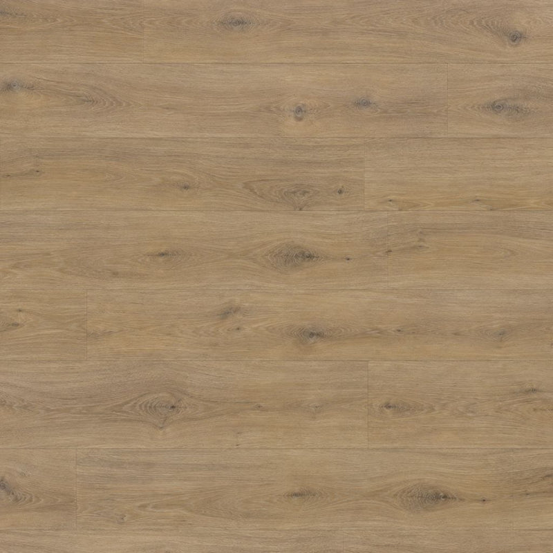 Laminat Kronotex Exquisit Prestige Eiche hell: Oberflächenstruktur und Verlegebild in der Nahaufnahme von Floor4all