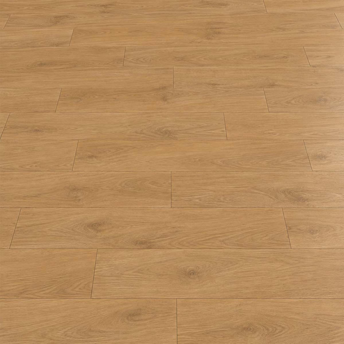 Laminat Klick EGGER Nord Eiche hellbraun in Nahaufnahme mit feiner Eichenmaserung und dezenten vierseitigen Fasen – Restposten bei Floor4All.