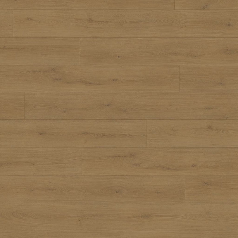 Laminat Kronotex Exquisit Natural Pine: Oberflächenstruktur und Verlegebild in der Nahaufnahme von Floor4all