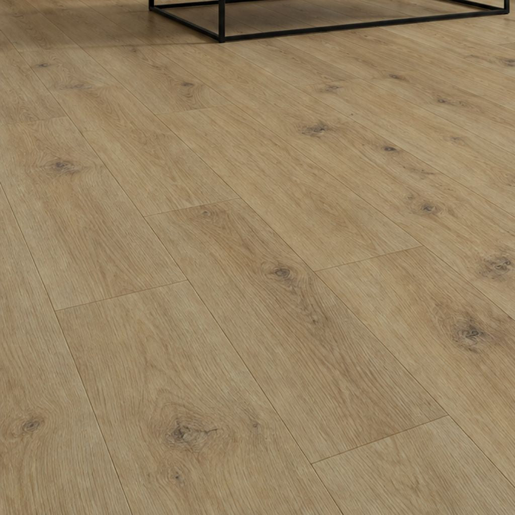 Laminat Parador Eiche Basic 200 Horizont Natur in Nahaufnahme mit natürlicher Holzmaserung von Floor4all