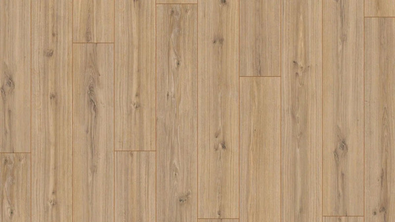 Laminat Kronotex Robusto Phalsbourg Eiche